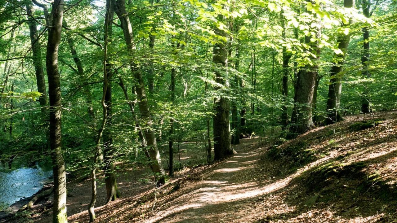 Itm Hotel Bettkaestchen Am Sachsenwald Reinbek Dış mekan fotoğraf